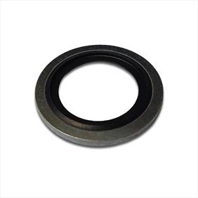 Sealing Washer