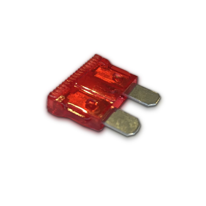 Standard Blade Fuses - 10 Amp Pk50