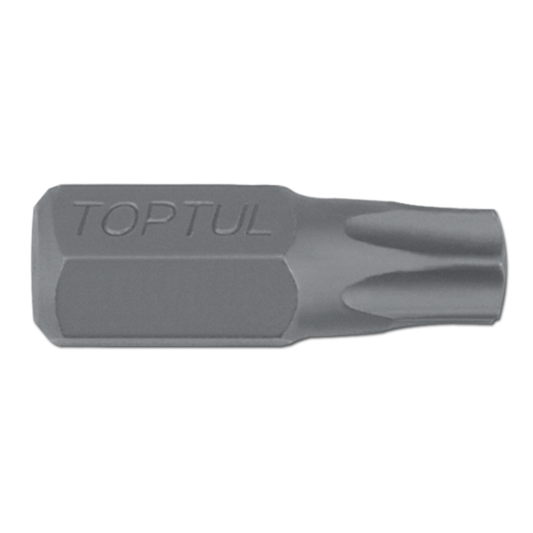 T40 x 10mm Hex x 30mm Long Bit